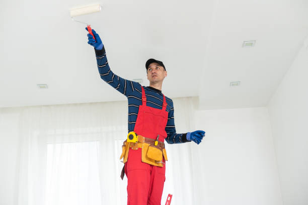 Best Mold Removal for HVAC Installations  in Grape Creek, TX