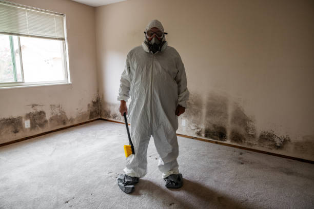 Forensic Mold Investigation in Grape Creek, TX